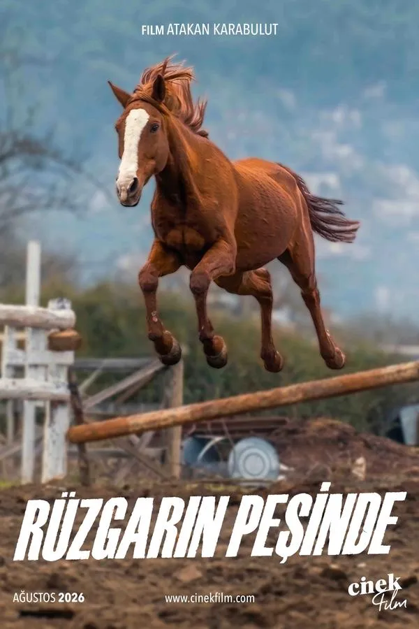  Rüzgarın Peşinde